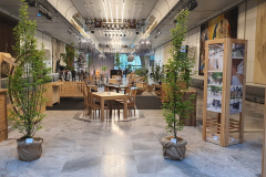 20230511_130030_resized